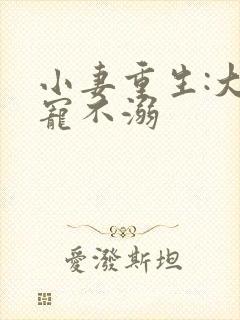 小妻重生:大佬宠不溺