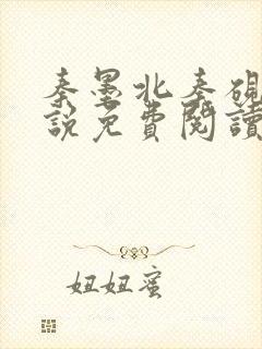 秦墨北秦砚西小说免费阅读最新章节