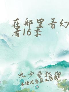 在哪里看幻影忍者16季