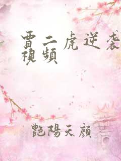 贾二虎逆袭人生视频