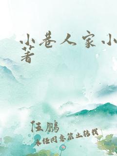 小巷人家小说原著