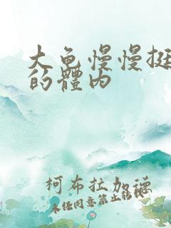 大龟慢慢挺进我的体内