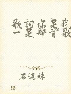 歌词你是我的唯一是哪首歌的歌词