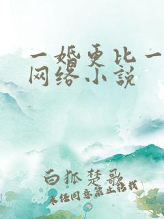 一婚更比一婚高网络小说