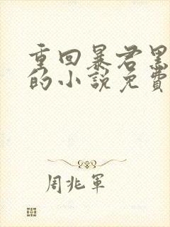 重回暴君黑化前的小说免费阅读