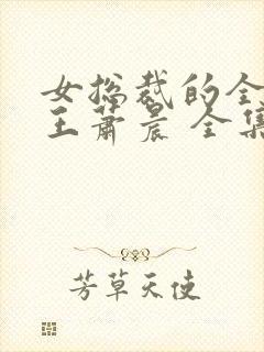 女总裁的全能兵王萧晨 全集