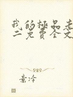 我的极品老婆小二免费全文阅读