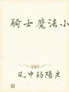 骑士魔法小说