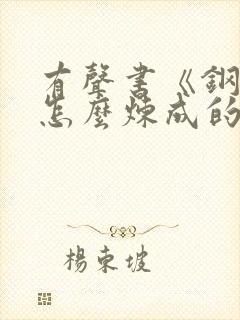 有声书《钢铁是怎么炼成的》