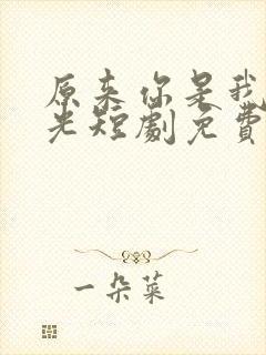 原来你是我的星光短剧免费观看