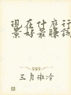 现在什么行业前景好最赚钱