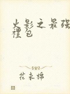 火影之最强新手礼包