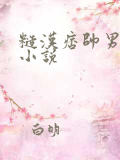 糙汉痞帅男主的小说