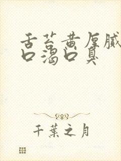 舌苔黄厚腻口干口渴口臭