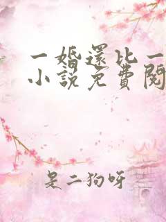 一婚还比一婚高小说免费阅读