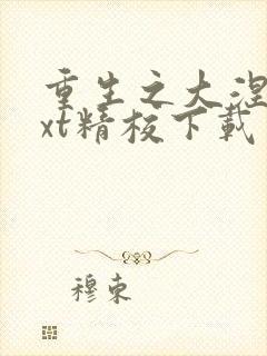 重生之大涅磐txt精校下载