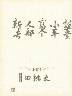 新人写小说应该去哪个平台