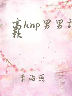 高hnp男男调教