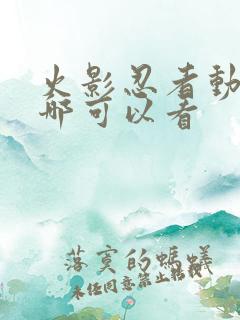 火影忍者动漫在哪可以看