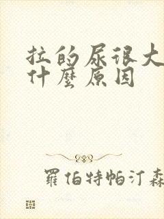 拉的尿很大味是什么原因