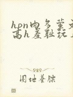 hpn肉多荤文高h羞耻玩弄