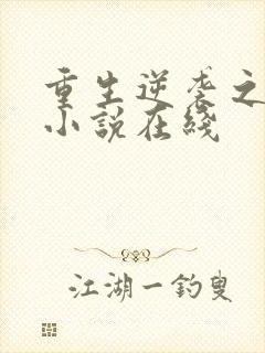 重生逆袭之路 小说在线