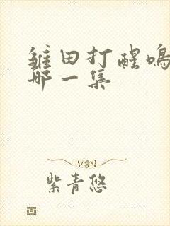 雏田打醒鸣人是哪一集