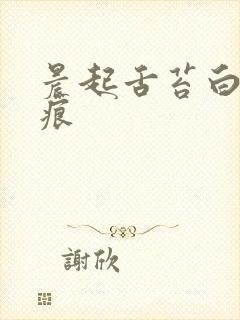 晨起舌苔白腻齿痕