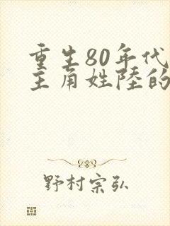 重生80年代的主角姓陆的小说