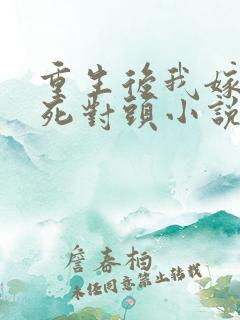 重生后我嫁给了死对头小说