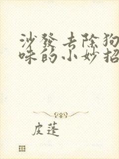 沙发去除狗尿骚味的小妙招