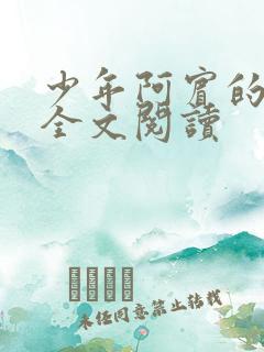 少年阿宾的故事全文阅读