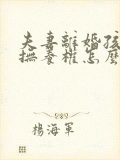 夫妻离婚孩子的抚养权怎么判