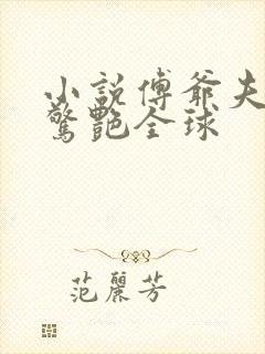 小说傅爷夫人又惊艳全球