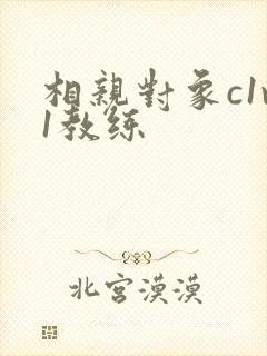 相亲对象c1v1教练