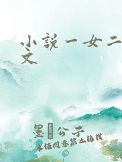 小说一女二夫宠文