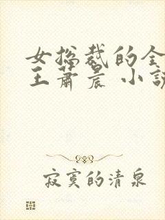 女总裁的全能兵王萧晨 小说