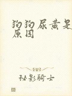 狗狗尿黄是什么原因