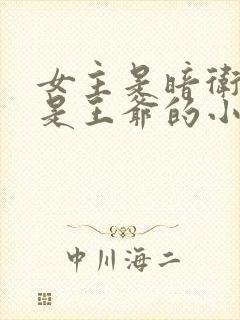 女主是暗卫男主是王爷的小说