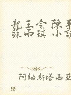 龙王令 陈平,苏雨琪 小说