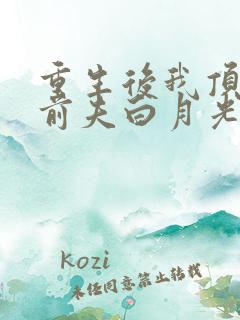 重生后我顶替了前夫白月光完结版