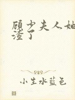 顾少夫人她又虐渣了