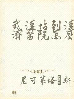 武汉站到汉口同济医院怎么坐地铁