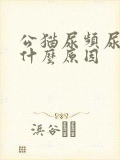 公猫尿频尿少是什么原因