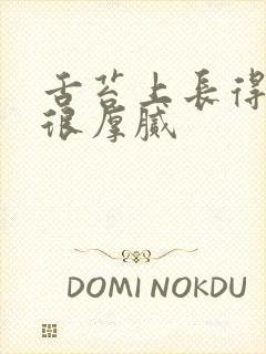 舌苔上长得白的很厚腻