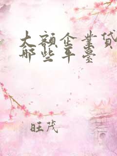 大额企业贷款有哪些平台