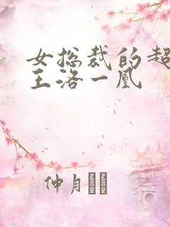 女总裁的超级兵王洛一凰