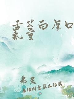 舌苔白厚口苦湿气重