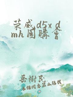 荣威d5x dmh团购会