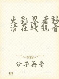 火影忍者动画高清在线观看